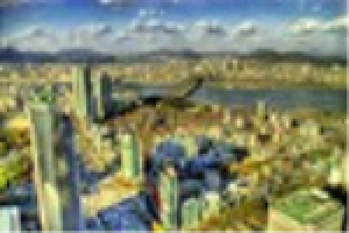 Elegant Japonya & Güney Kore Turu THY ile 9 Gece ICN-NRT