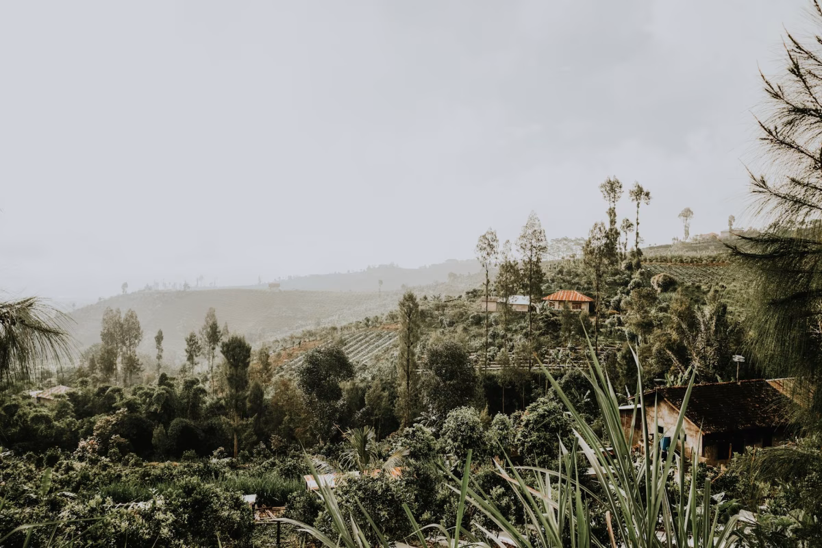 Rüya Ada Bali - Ubud Turu 7 Gece Türk Havayolları İle Kurban Bayramı Özel
