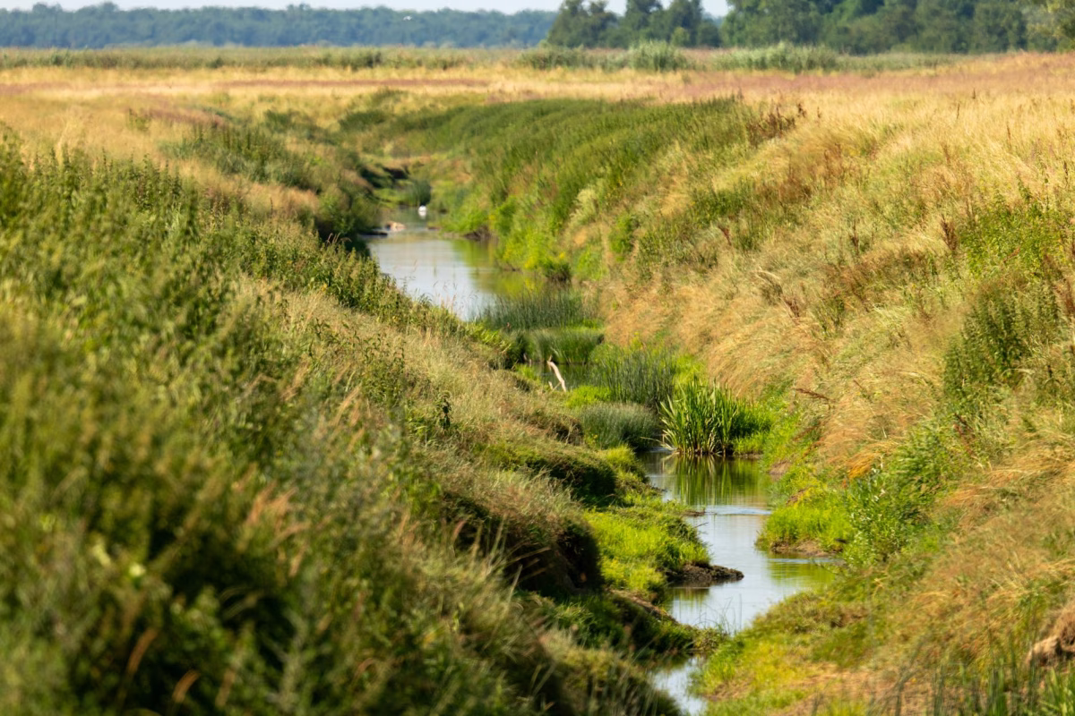 Slovenya & Hırvatistan Turu 3 Gece 4 Gün 27 Mayıs Hareket Extra Turlar Dahil Kurban Bayramı Özel